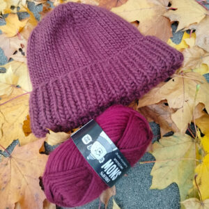 Read more about the article Warsztaty – zimowa czapka na drutach